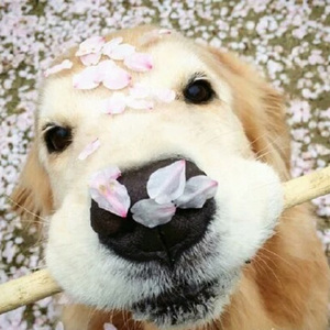 女生隐私部位自慰网站直播
