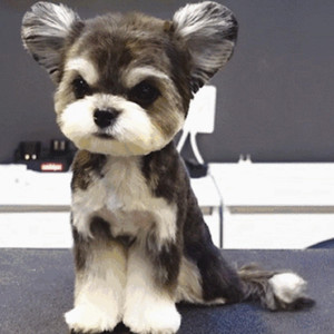 女生隐私部位自慰网站直播
