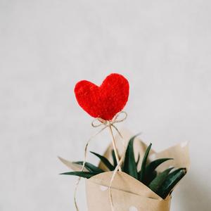 女生隐私部位自慰网站直播
